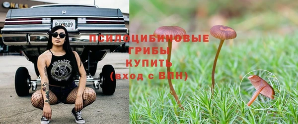 эйфоретик Алзамай