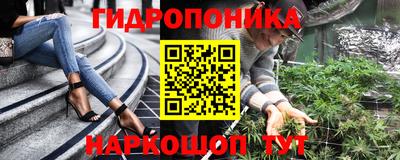 гидра Берёзовский