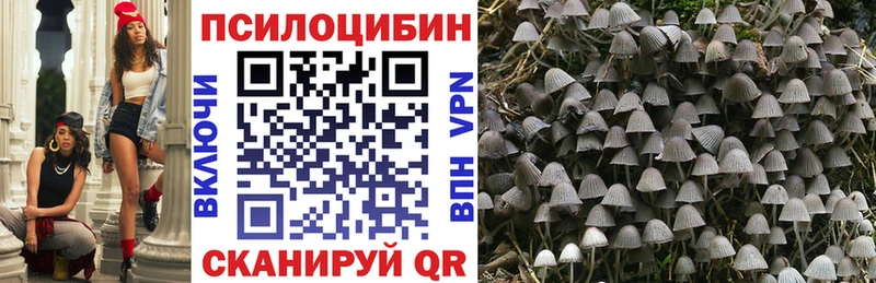 Псилоцибиновые грибы Cubensis  Волжский 