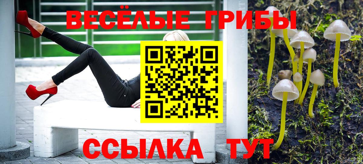 Псилоцибиновые грибы ЛСД Волжский