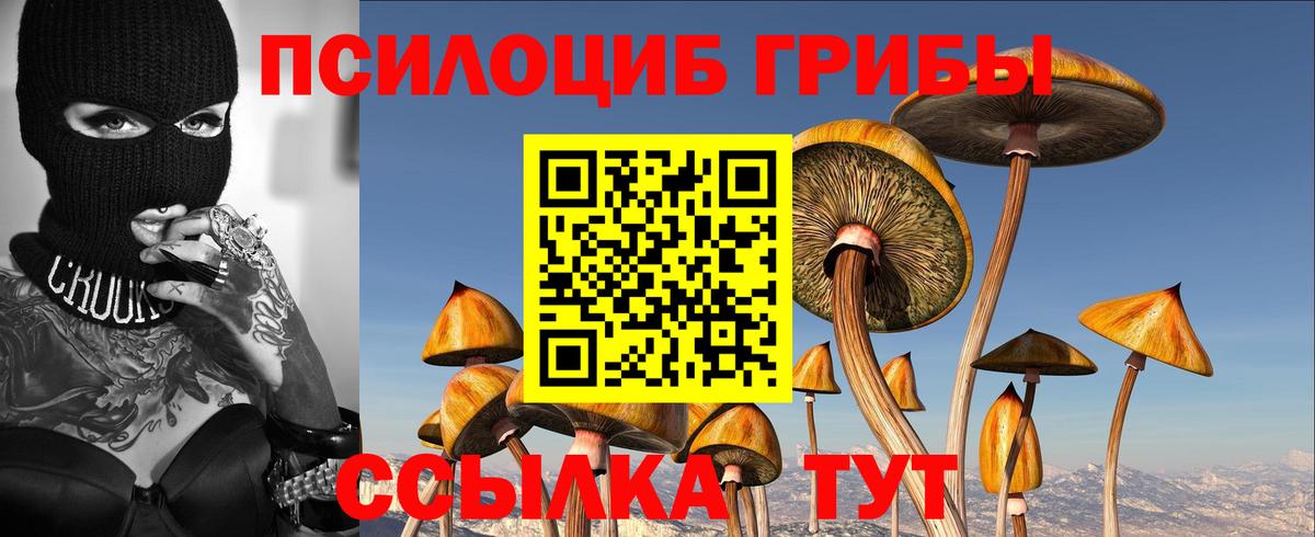 Псилоцибиновые грибы Magic Shrooms  Галлюциногенные грибы Psilocybe  купить наркоту  Вход с VPN  Волжский 